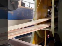 Prenda impermeable de pared de WPC de la fábrica insonora de los paneles y a prueba de humedad directos