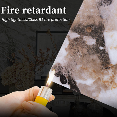 Parásitos atmosféricos antis decorativos interiores de mármol incombustibles del panel de pared